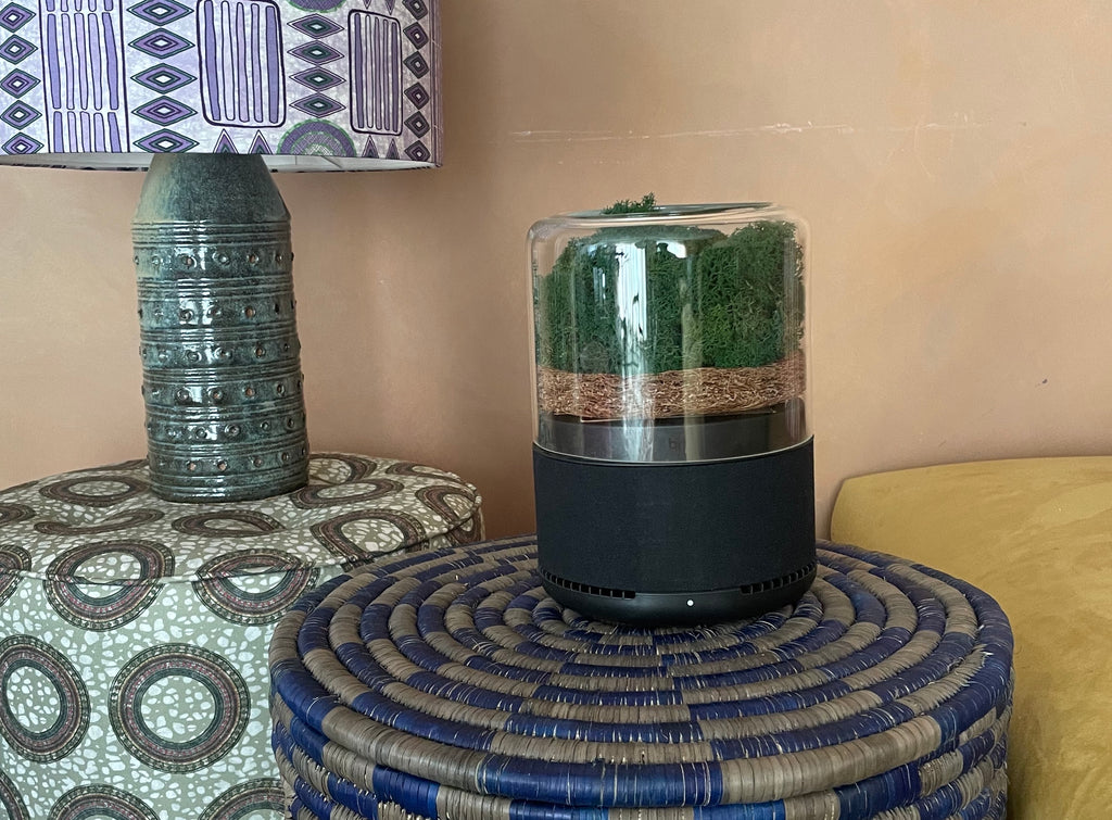 Briiv - Freshen Up In Style