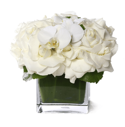 White Flowers