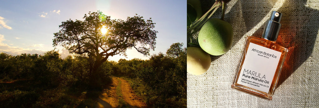 Our Favourite African Beauty Brands - Perfect for Winter Skin